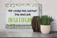 Blechschild Spruch 30x20cm wächst kein Unkraut Begleitgrün
