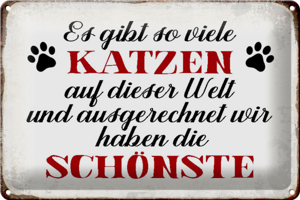 Blechschild Spruch 30x20cm wir haben die schönste Katze