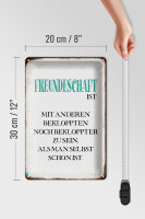 Blechschild Spruch 20x30cm Freundschaft ist mit anderen