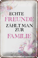 Blechschild Spruch 20x30cm echte Freunde zählt zur...