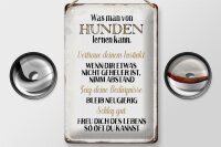 Blechschild Spruch 20x30cm was man von Hunden lernen kann