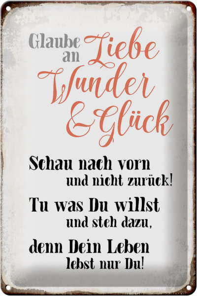 Blechschild Spruch 20x30cm glaube an Liebe Wunder Glück