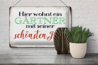 Blechschild Spruch 30x20cm hier Gärtner mit schönster Rose