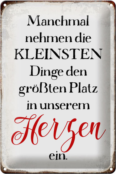 Blechschild Spruch 20x30cm die kleinsten Dinge größte Platz