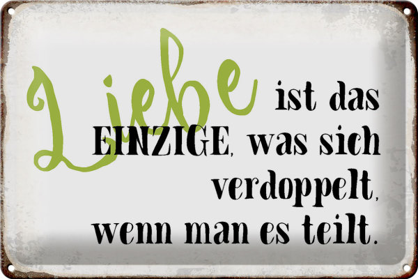 Blechschild Spruch 30x20cm Liebe ist das einzige was sich