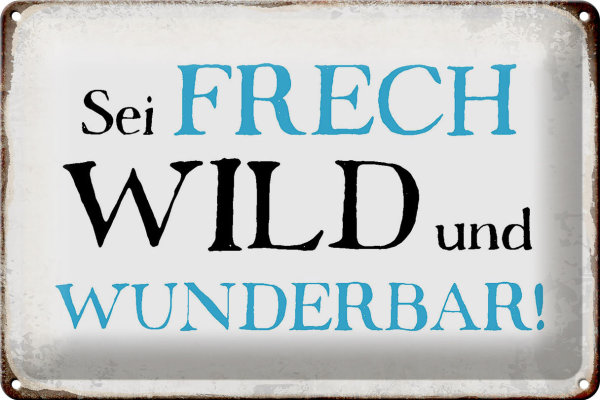Blechschild Spruch 30x20cm sei frech wild wunderbar Retro