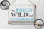 Blechschild Spruch 30x20cm sei frech wild wunderbar Retro