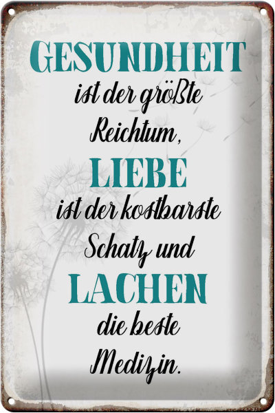 Blechschild Spruch 20x30cm Gesundheit Liebe Lachen Medizin
