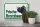 Blechschild Hinweis 30x20cm frische Brombeeren Hofladen