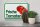 Blechschild Hinweis 30x20cm frische Tomaten Hofladen