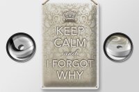 Blechschild Spruch 20x30cm Keep Calm and i forgot why