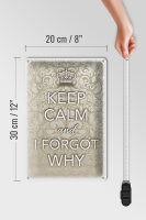 Blechschild Spruch 20x30cm Keep Calm and i forgot why