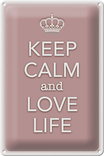 Blechschild Spruch 20x30cm Keep Calm and love life