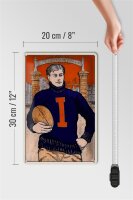 Blechschild American Football 20x30cm Illinois field