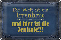 Blechschild Spruch 30x20cm Welt ist ein Irrenhaus und