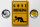Blechschild Alkohol 20x30cm gone drinking lustig
