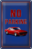 Blechschild Hinweis 20x30cm Auto No Parking