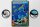 Blechschild Spruch 20x30cm great barrier reef Queensland