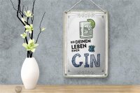 Blechschild Alkohol 12x18cm Gib deinem Leben einen GIN Dekoration
