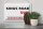 Blechschild London 30x20cm England Chelsea Kings Road SW5