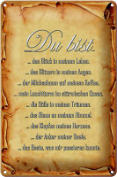 Blechschild Spruch 20x30cm Du bist Glück in meinem...