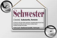 Blechschild Spruch 30x20cm Schwester Person die einen liebt