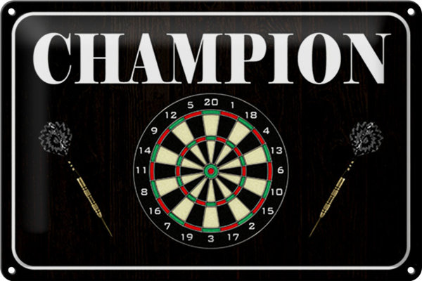 Blechschild Spruch 30x20cm Darts Champion