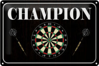 Blechschild Spruch 30x20cm Darts Champion