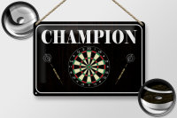 Blechschild Spruch 30x20cm Darts Champion