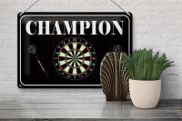 Blechschild Spruch 30x20cm Darts Champion