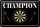 Blechschild Spruch 30x20cm Darts Champion