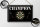 Blechschild Spruch 30x20cm Darts Champion