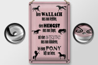 Blechschild Spruch 20x30cm Pferde Wallach Hengst Pony Stute