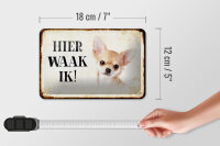 Blechschild Spruch 18x12cm holländisch Hier Waak ik Chihuahua glatt Dekoration