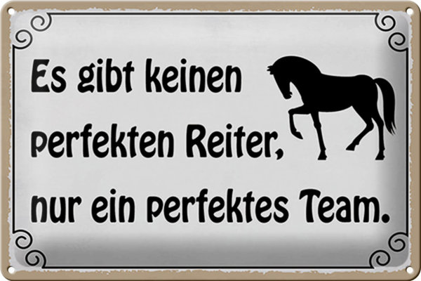 Blechschild Spruch 30x20cm es gibt keinen perfekten Reiter