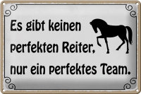 Blechschild Spruch 30x20cm es gibt keinen perfekten Reiter
