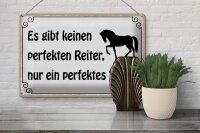 Blechschild Spruch 30x20cm es gibt keinen perfekten Reiter