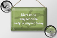 Blechschild Spruch 30x20cm there is no perfect rider only