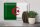 Blechschild Flagge Algerien 30x20cm Flag of Algeria