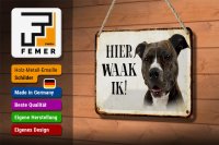Blechschild Spruch 18x12cm holländisch Hier Waak ik Pitbull Terrier Dekoration
