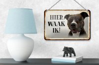 Blechschild Spruch 18x12cm holländisch Hier Waak ik Pitbull Terrier Dekoration