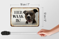 Blechschild Spruch 18x12cm holländisch Hier Waak ik Pitbull Terrier Dekoration