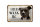 Blechschild Spruch 18x12cm holländisch Hier Waak ik Pitbull Terrier Dekoration