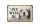 Blechschild Spruch 18x12cm holländisch Hier Waak ik Bobtail Hund Dekoration