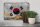 Blechschild Flagge Südkorea 30x20cm Flag South Korea Rost