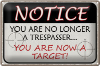 Blechschild Spruch 30x20cm notice you no longer trespasser