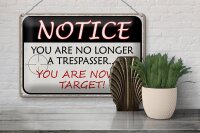 Blechschild Spruch 30x20cm notice you no longer trespasser