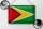 Blechschild Flagge Guyana 30x20cm Flag of Guyana Vintage