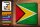 Blechschild Flagge Guyana 30x20cm Flag of Guyana Vintage