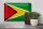 Blechschild Flagge Guyana 30x20cm Flag of Guyana Vintage